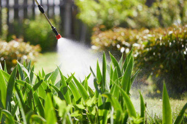 24/7 Emergency Mosquito Control experts in Ferndale, PA