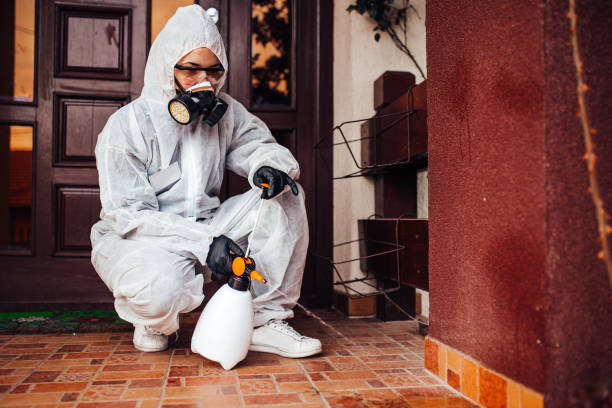 Reliable Mosquito Control contractor in Ferndale, PA by Show Me Pest Control
